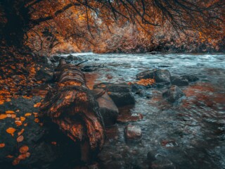 jake-weirick-EsvpmQ4zp5Y-unsplash